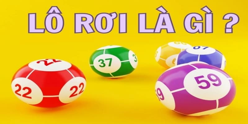 LÔ RƠI